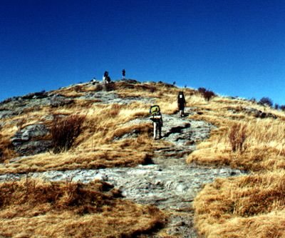 hiking in the wilderness