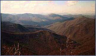 view from looking glass rock in the Pisgah Forest