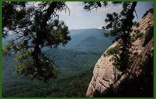 another specatular view in the Pisgah forest