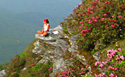 study abroad